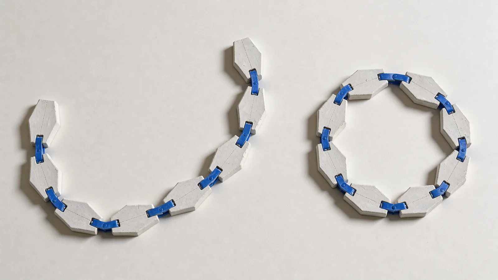 An open molecular teaching chain beside a closed white loop with cobalt joints